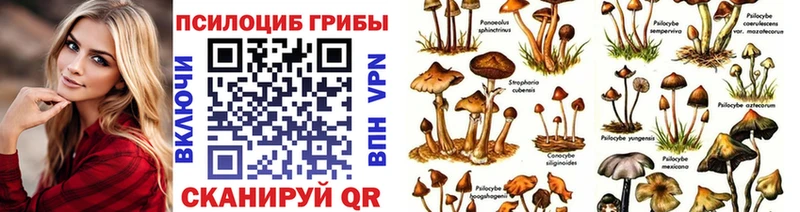 Купить закладки  Сухиничи  Галлюциногенные грибы MAGIC MUSHROOMS 